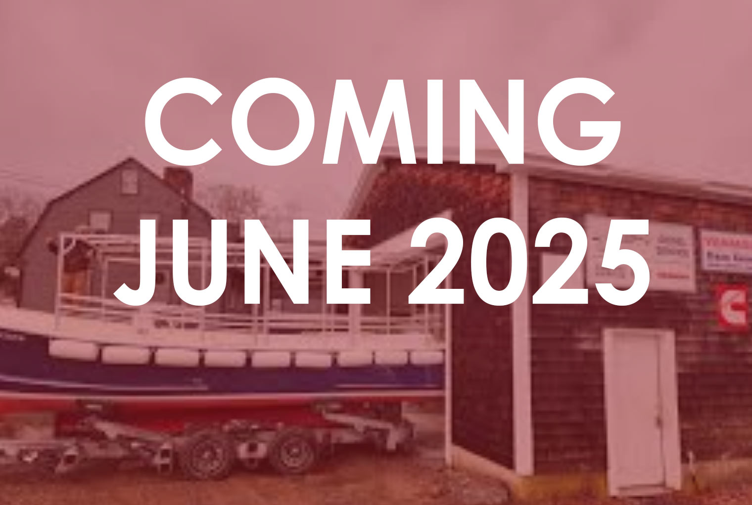 Swamp yankee COming June 2025